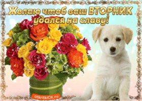 Открытка Открытки на вторник - Открытка с щенком и цветами в горшке | Красивая открытка #149