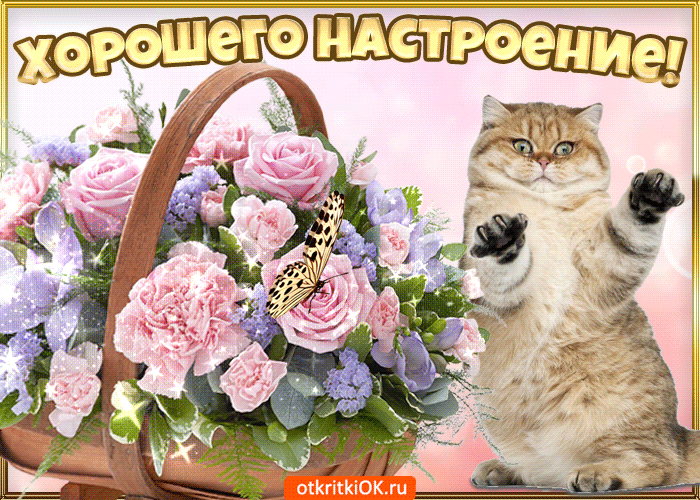 Открытка Открытки хорошего настроения - Открытка с котиком и цветами | Красивая открытка #185