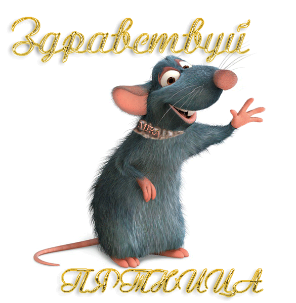 Открытка Открытки на пятницу - Открытка с крысой Рататуй | Красивая открытка #47