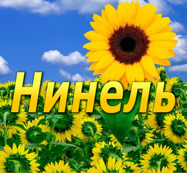 Открытка открытки с именем Нинель - Открытка с подсолнухами и голубым небом | Красивая открытка #8