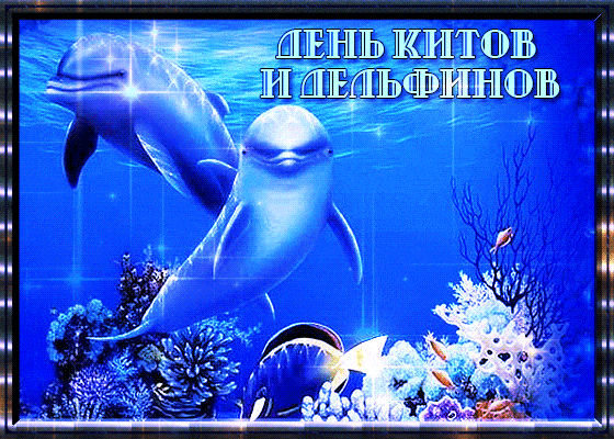 Открытка С дельфинами - Открытка с дельфином в море | Красивая открытка #12