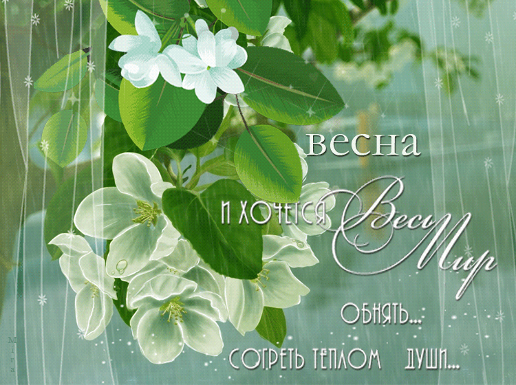 Открытка Открытки весенняя пора - Открытка "Весна": нежные цветы и весеннее настроение | Красивая открытка #13