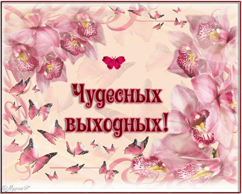 Открытка Открытки хороших выходных - Открытка с цветами и бабочками: С Днём Выходных! | Красивая открытка #215