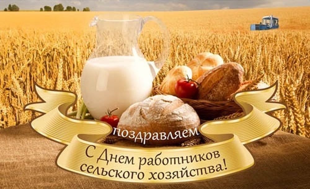 Открытка Открытки на день работников сельского хозяйства и перерабатывающей промышленности  - Поздравление с Днём работника сельского хозяйства: хлеб, молоко, поля | Красивая открытка #3