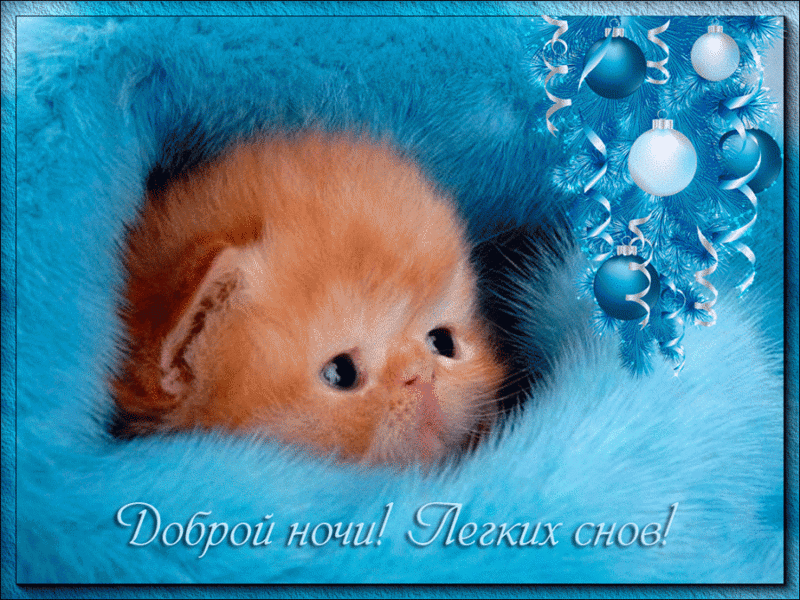 Открытка Спокойной ночи - Открытка с рыжим котенком и синими шарами | Красивая открытка #173