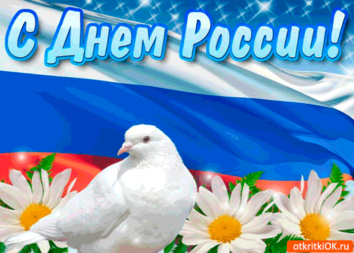 Открытка День России - Белый голубь и ромашки на фоне флага | Красивая открытка #75