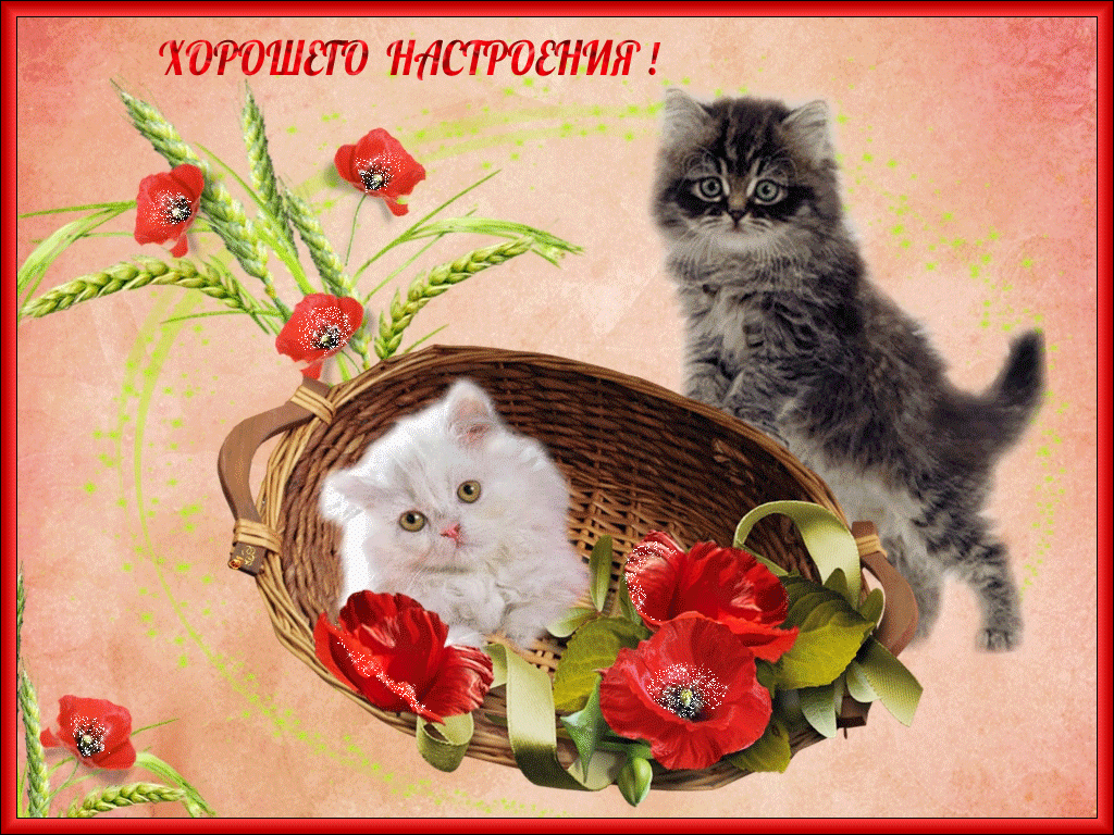 Открытка хорошего настроения - Котенок в корзине с цветами: милая открытка | Красивая открытка #177