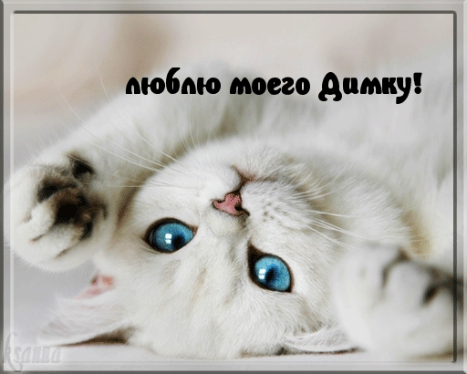 Открытка открытки с именем Дмитрий  - Открытка с котенком: милые котята для поздравлений | Красивая открытка #171