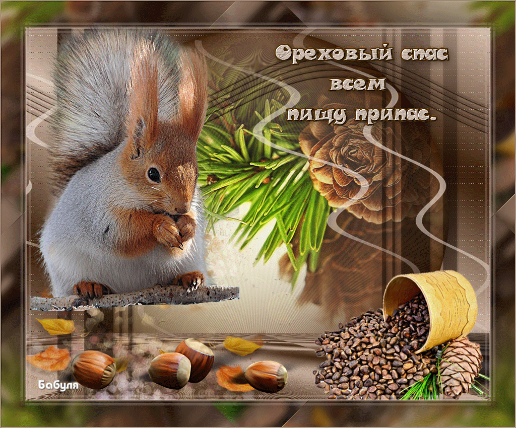 Открытка Ореховый спас - Белка с орехами и шишками - праздничная открытка | Красивая открытка #168