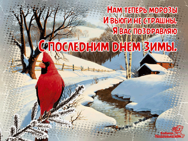 Открытка Открытки с последним днем зимы - Зимний пейзаж: снег, лес, красный кардинал | Красивая открытка #1