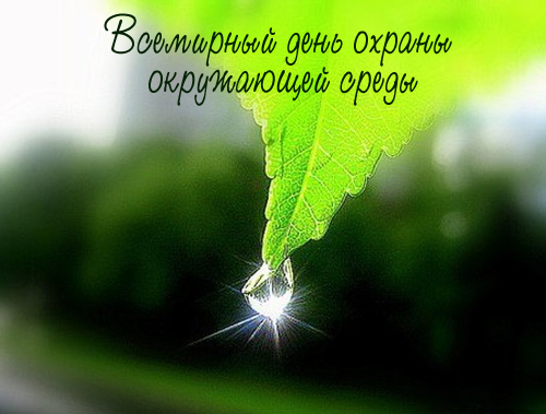 Открытка Открытки с днем эколога - Капля росы на листе | Красивая открытка #3