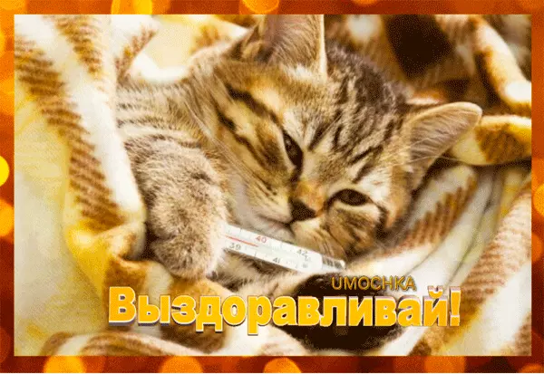 Открытка Открытки скорейшего выздоровления - Котенок на календаре - Праздничная открытка | Красивая открытка #139