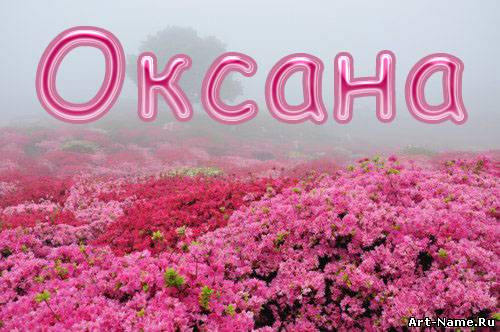 Открытка открытки с именем Оксана  - Розовые цветы на открытке: купить онлайн | Красивая открытка #14