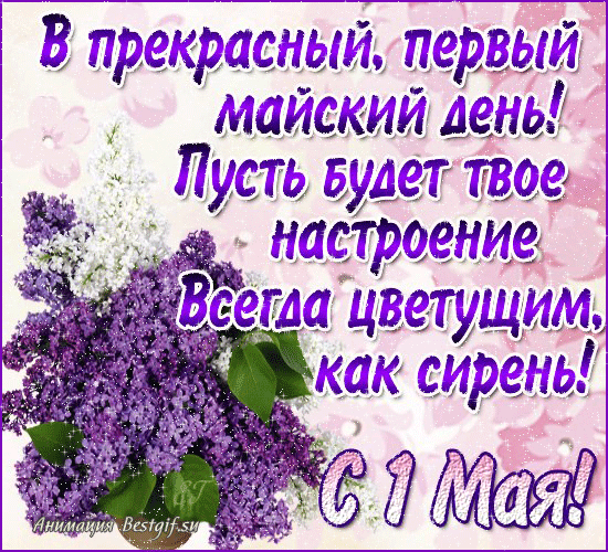 Открытка 1 мая - С Днём 1 Мая! Цветущая сирень - поздравительная открытка | Красивая открытка #178
