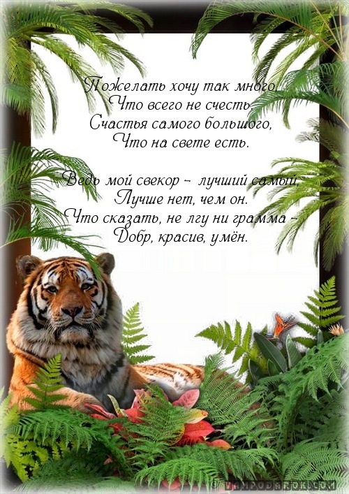 Открытка С днем рождения свекр - Тигр в джунглях: открытка с животным, природа | Красивая открытка #14