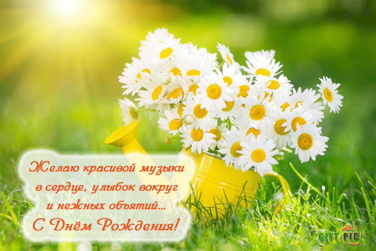 Открытка С ромашками - Открытка с ромашками: С Днем Рождения! | Красивая открытка #80