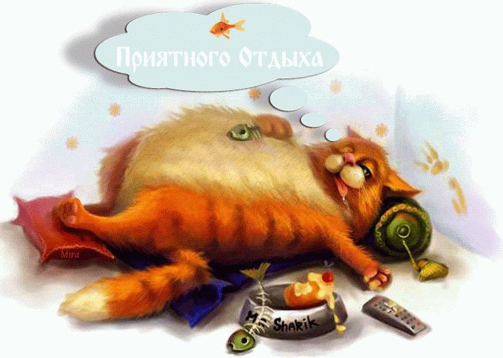 Открытка Хорошего отдыха, отпуска - Ленивый кот с рыбами и пульт: отрыжка радости | Красивая открытка #32