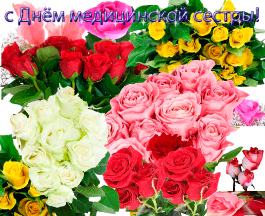 Открытка День медсестры - Букет роз: красные, розовые, белые и желтые цветы | Красивая открытка #25