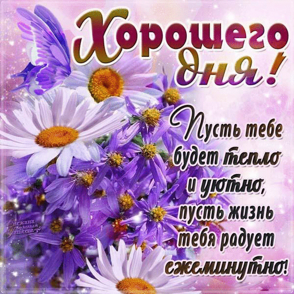 Открытка добрый день - Открытка с фиалками: С Днем рождения! | Красивая открытка #18