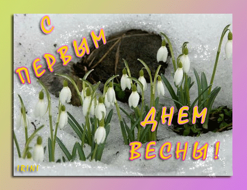 Открытка Первый день весны - Подснежники на снегу: поздравления с Первым днем весны! | Красивая открытка #115