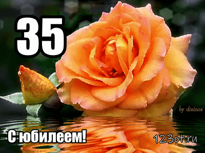Открытка Открытки на 35 лет - Открытка с розой: С юбилеем! | Красивая открытка #40