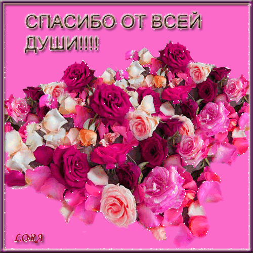 Открытка открытки с благодарностью  - Открытка с розовыми и красными розами | Красивая открытка #125