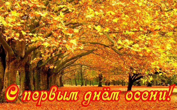 Открытка открытки с первым осенним днем  - Золотая осень: открытка с видом на парк | Красивая открытка #13