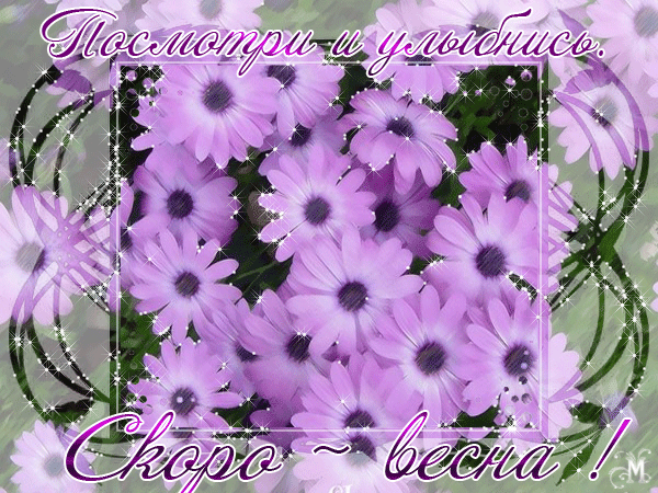 Открытка Открытки весенняя пора - Открытка с фиалками и надписью "Скоро весна!" | Красивая открытка #196
