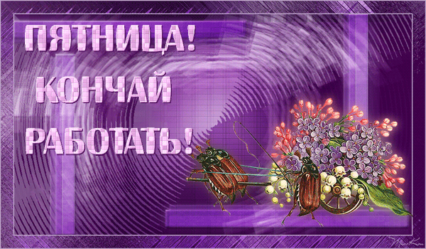 Открытка Открытки на пятницу - Открытка с жуками и цветами | Красивая открытка #71