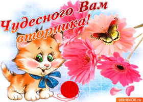 Открытка С вторником - Котенок с клубком цветов и бабочкой - открытка | Красивая открытка #13