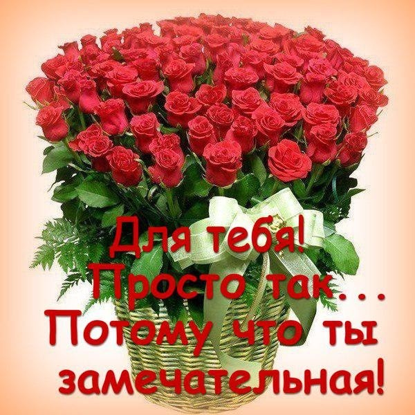 Открытка Открытки для тебя - Букет роз: признание в любви, красные цветы | Красивая открытка #95