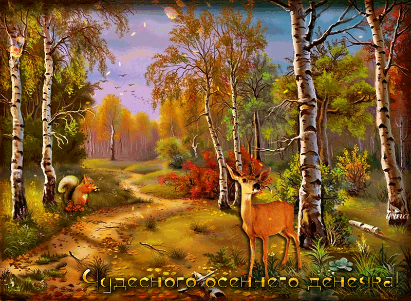 Открытка Открытки осенняя пора - Осенний лес: белка, олень и листва. Открытка | Красивая открытка #182