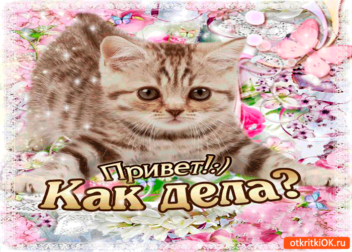 Открытка Открытки с приветствиями  - Открытка с котенком: Привет! Как дела? | Красивая открытка #103