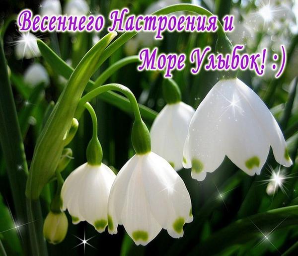 Открытка открытки с весенними каникулами  - Подснежники на фоне зеленой травы | Красивая открытка #4