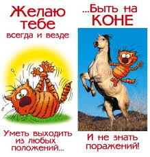 Открытка открытки с приколами на день рождения  - Открытка с котом на лошади: С днем рождения! | Красивая открытка #29