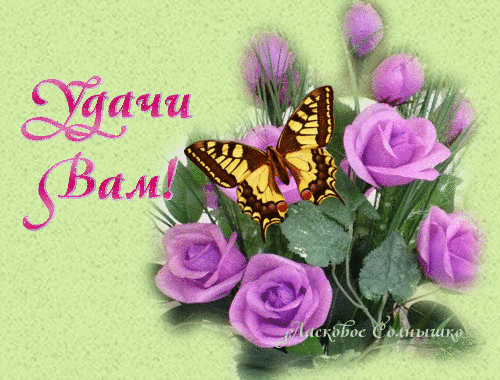 Открытка Удачи - Букет фиалок и бабочка: открытка с днем рождения | Красивая открытка #245