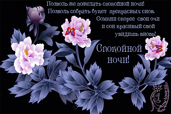 Открытка открытки с пожеланиями спокойной ночи  - Открытка: Нежные пионы. Пожелание спокойной ночи. | Красивая открытка #15