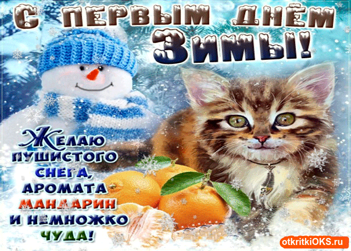 Открытка открытки с первым днем зимы  - Снеговик, апельсины и котик  Новогодняя открытка | Красивая открытка #53