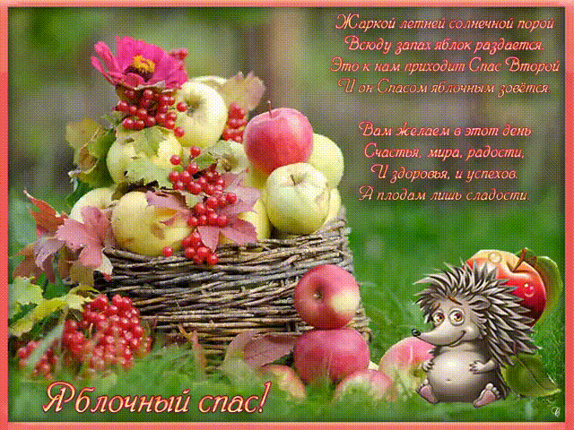 Открытка Открытки с Яблочным Спасом - Открытка с яблоками и ежиком: поздравления с праздником | Красивая открытка #61