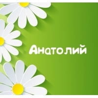 Открытка открытки с именем Анатолий - Открытка с цветами: нежные ромашки на зеленом фоне | Красивая открытка #30
