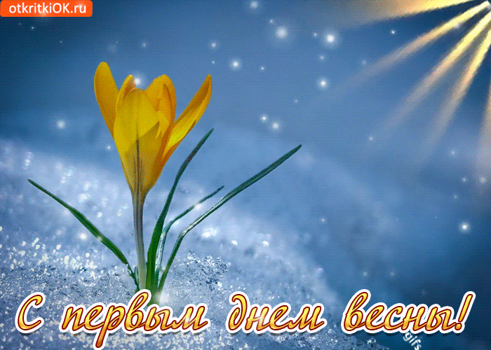 Открытка  С первым днем весны - Первый цветок весны - открытка с подснежником | Красивая открытка #55