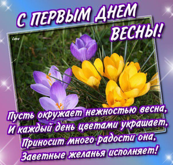 Открытка открытки с первым весенним днем - Полевые цветы: открытка с весенним настроением | Красивая открытка #7