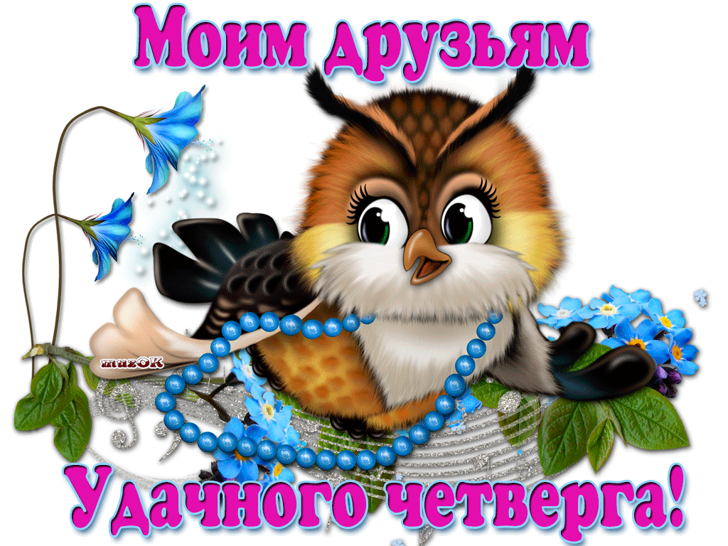 Открытка Четверг - Сова с цветами и бусами: Открытка с птицей | Красивая открытка #21