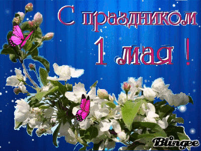 Открытка открытки на 1 мая - Открытка с цветами и бабочкой | Красивая открытка #46