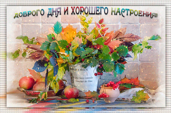 Открытка хорошего настроения - Открытка с яблоками, листьями и ягодами | Красивая открытка #113