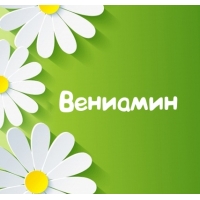 Открытка открытки с именем Вениамин  - Открытка с цветами: зеленый фон, белые цветы с желтыми центрами | Красивая открытка #13