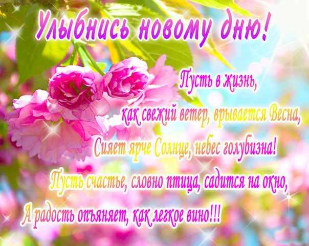 Открытка С добрым утром - Поздравительная открытка: Цветы, надписи, яркие цвета | Красивая открытка #45