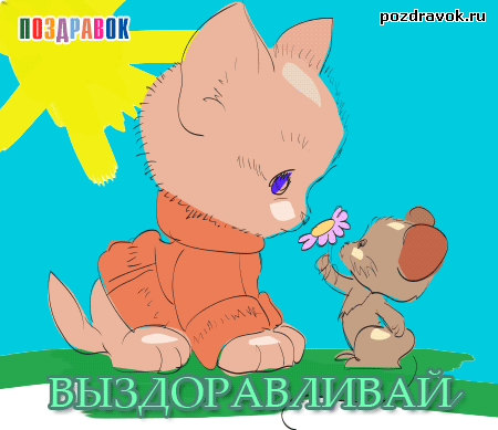Открытка Открытки скорейшего выздоровления - Открытка с котенком и мышонком, дарит цветок | Красивая открытка #64