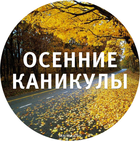 Открытка открытки с осенними каникулами  - Осенние открытки: желтые листья и дорога | Красивая открытка #3