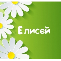 Открытка открытки с именем Елисей - Открытка с ромашками: яркая зелёная тематика | Красивая открытка #17